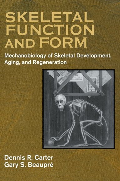 bokomslag Skeletal Function and Form: Mechanobiology of Skeletal Development, Aging, and Regeneration