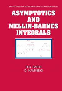 bokomslag Asymptotics and Mellin-Barnes Integrals