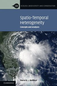 bokomslag Spatio-Temporal Heterogeneity