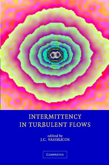 J. C. Vassilicos - Intermittency in Turbulent Flows, Inbunden