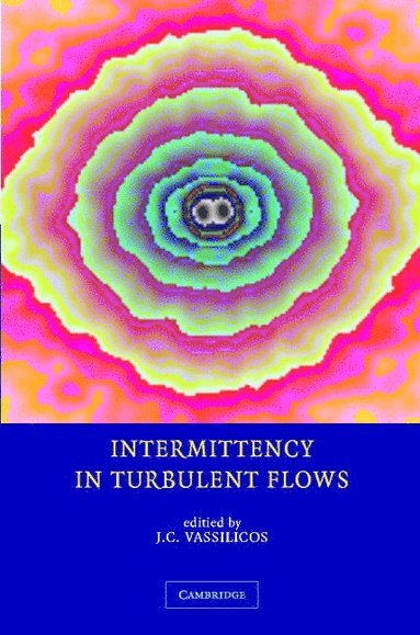 bokomslag Intermittency in Turbulent Flows