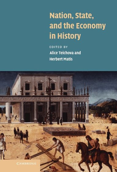 Alice Teichova, Herbert Matis - Nation, State and the Economy in History, Inbunden