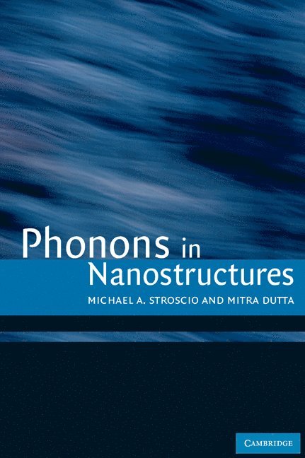 Michael A. Stroscio, Mitra Dutta - Phonons in Nanostructures, Inbunden