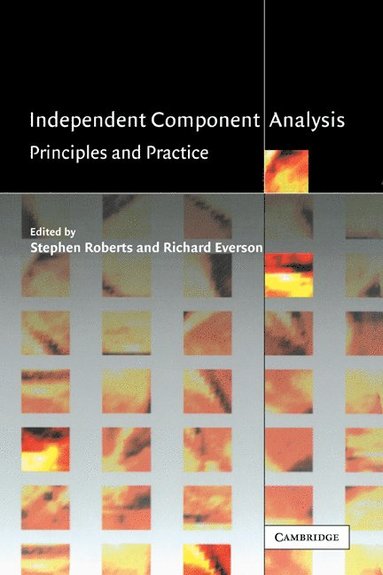 bokomslag Independent Component Analysis