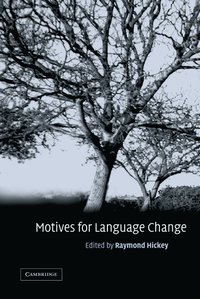 bokomslag Motives for Language Change