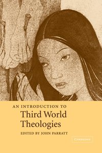 bokomslag An Introduction to Third World Theologies