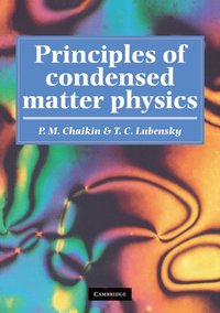 bokomslag Principles of Condensed Matter Physics