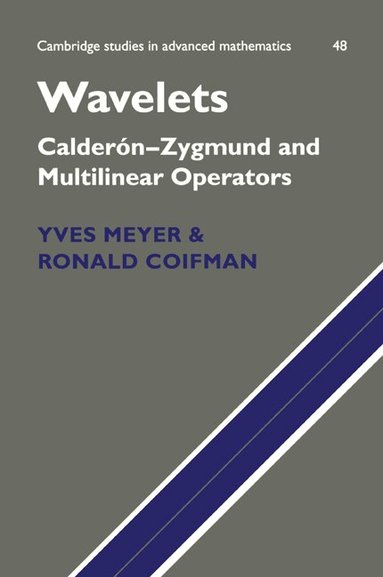 Yves Meyer, Ronald Coifman - Wavelets, Häftad