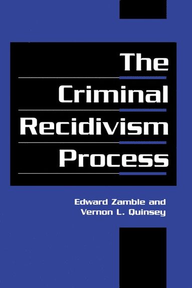 bokomslag The Criminal Recidivism Process