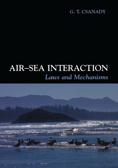 bokomslag Air-Sea Interaction