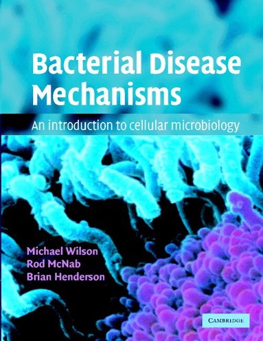 Michael Wilson, Rod McNab, Brian Henderson - Bacterial Disease Mechanisms, Häftad