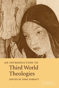 bokomslag An Introduction to Third World Theologies