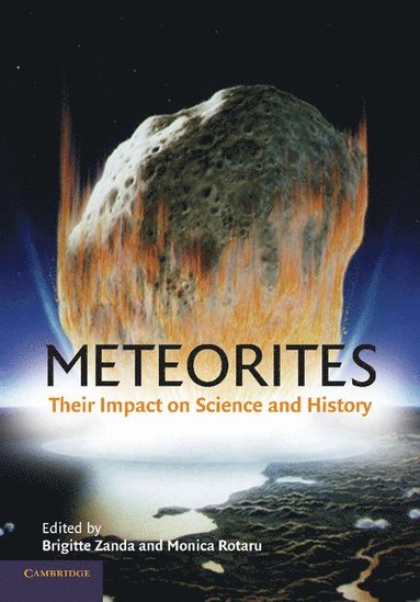 bokomslag Meteorites