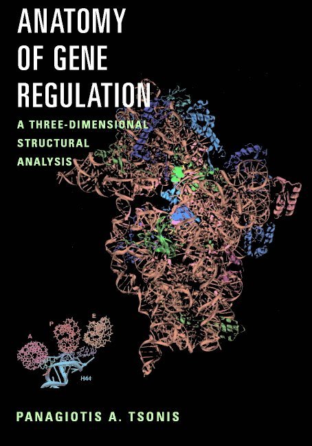 Anatomy of Gene Regulation 1