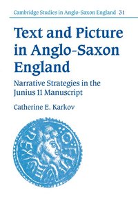 bokomslag Text and Picture in Anglo-Saxon England