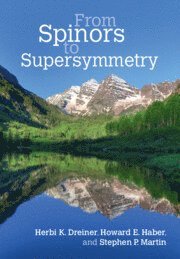 bokomslag From Spinors to Supersymmetry