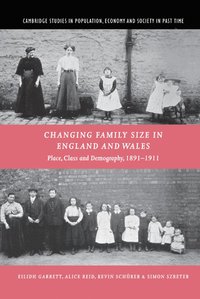 bokomslag Changing Family Size in England and Wales