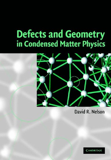 bokomslag Defects and Geometry in Condensed Matter Physics