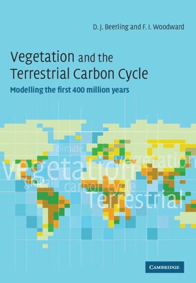 bokomslag Vegetation Terrestrial Carbon Cycle