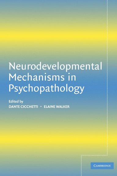 bokomslag Neurodevelopmental Mechanisms in Psychopathology