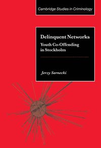 bokomslag Delinquent Networks