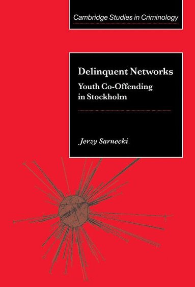 Jerzy Sarnecki - Delinquent Networks, Inbunden