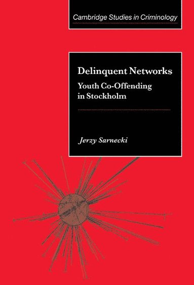 bokomslag Delinquent Networks