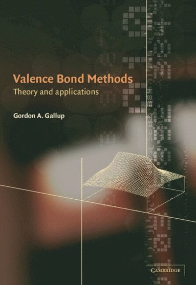 bokomslag Valence Bond Methods