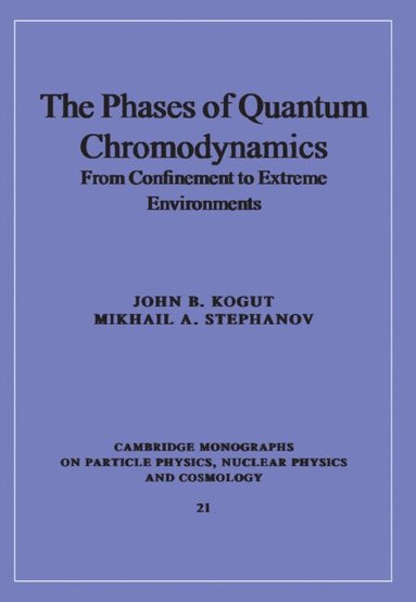 bokomslag The Phases of Quantum Chromodynamics