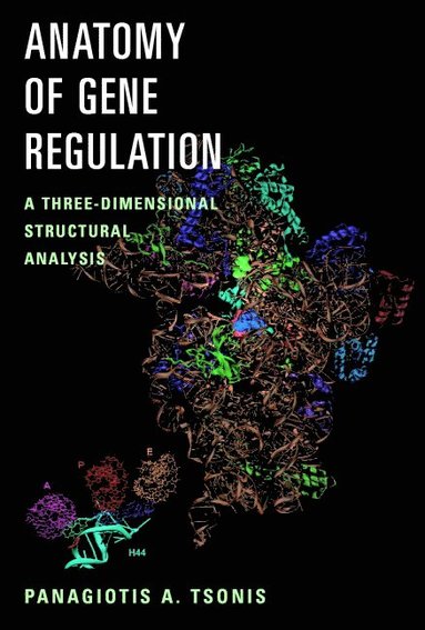 bokomslag Anatomy of Gene Regulation