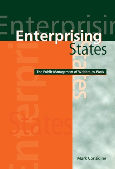 bokomslag Enterprising States