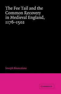 bokomslag The Fee Tail and the Common Recovery in Medieval England