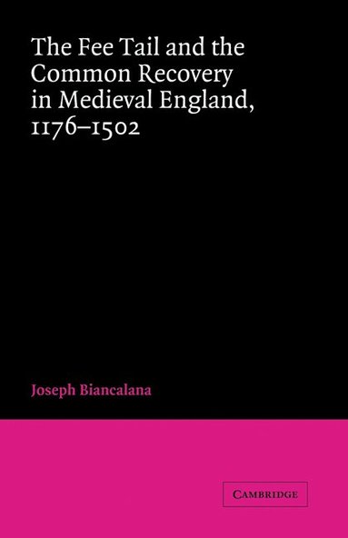 bokomslag The Fee Tail and the Common Recovery in Medieval England