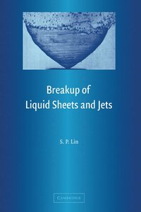 bokomslag Breakup of Liquid Sheets and Jets