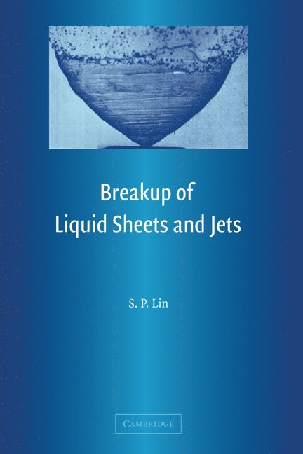 Breakup of Liquid Sheets and Jets 1