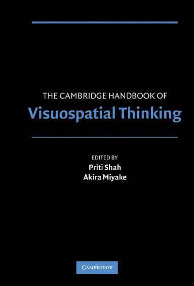 bokomslag The Cambridge Handbook of Visuospatial Thinking