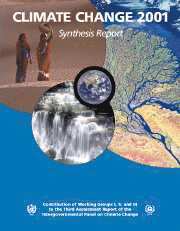 bokomslag Climate Change 2001: Synthesis Report