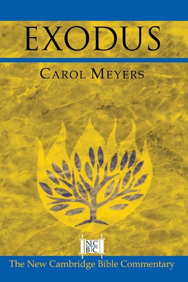 Carol Meyers, III Witherington, Ben, Ben Iii Witherington, Bill T. Arnold - Exodus, Inbunden