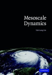 bokomslag Mesoscale Dynamics