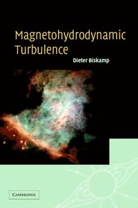 bokomslag Magnetohydrodynamic Turbulence