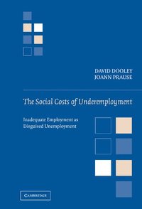 bokomslag The Social Costs of Underemployment