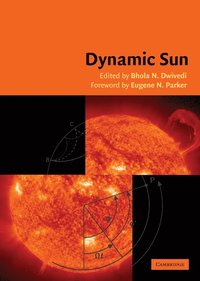 bokomslag Dynamic Sun