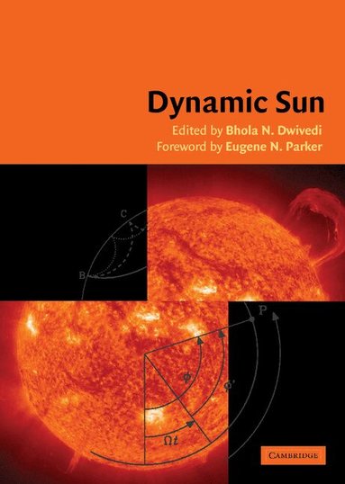 B. N. Dwivedi - Dynamic Sun, Inbunden