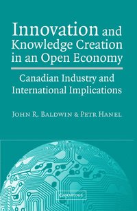 bokomslag Innovation and Knowledge Creation in an Open Economy