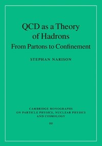 bokomslag QCD as a Theory of Hadrons