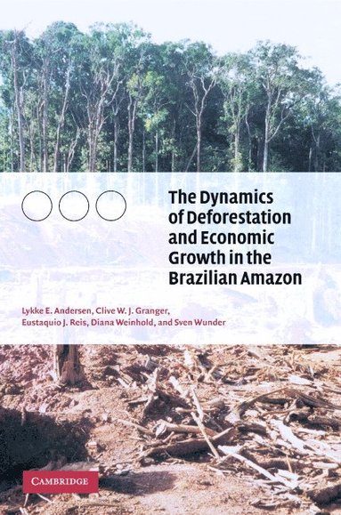 bokomslag The Dynamics of Deforestation and Economic Growth in the Brazilian Amazon