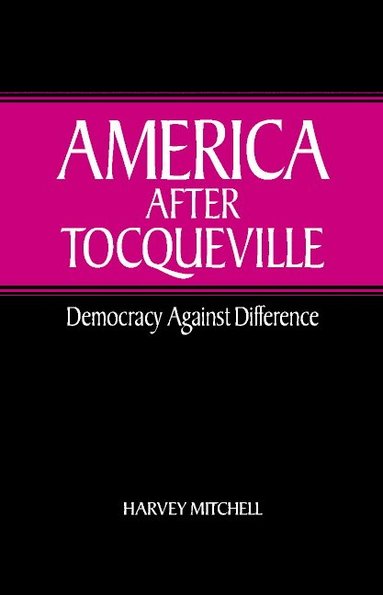 bokomslag America after Tocqueville