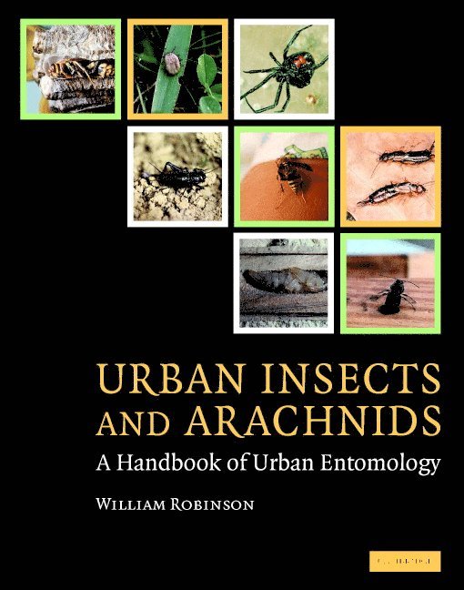 Urban Insects and Arachnids 1