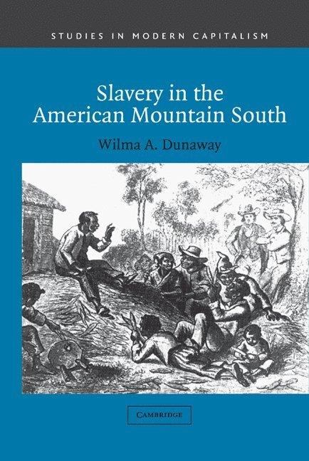 Wilma A. (Virginia Polytechnic Institute and State University) Dunaway, Wilma A. Dunaway, Maurice Aymard, Jacques Revel - Slavery in the American Mountain South, Inbunden
