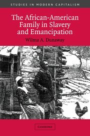 Wilma A. Dunaway - The African-American Family in Slavery and Emancipation, Inbunden